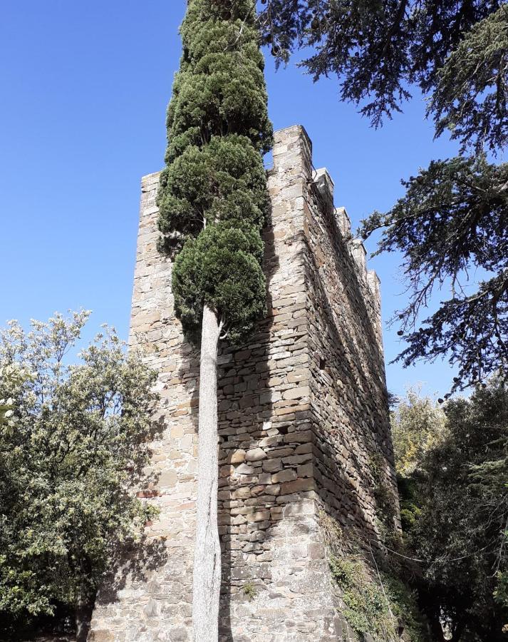Castelvecchio B&B Montenero d'Orcia Exterior photo